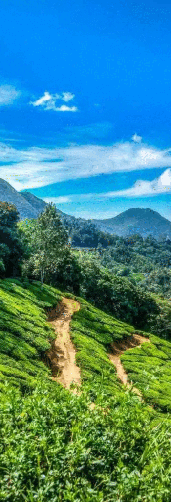 Top 10 Hill Station in India — Ultimate Guide (2025)