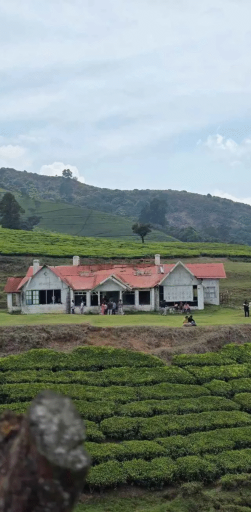 Top 10 Hill Station in India — Ultimate Guide (2025)