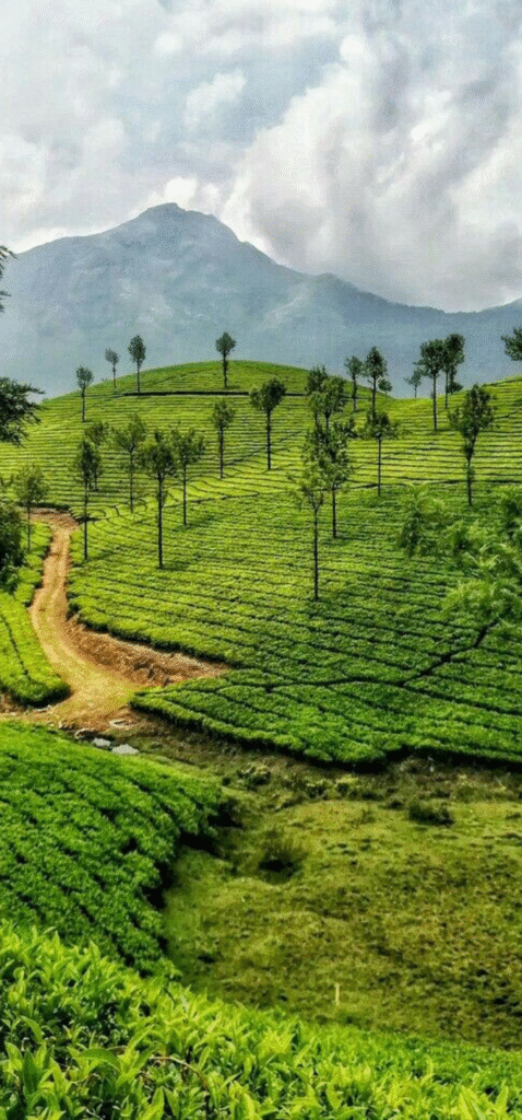 Top 10 Hill Station in India — Ultimate Guide (2025)