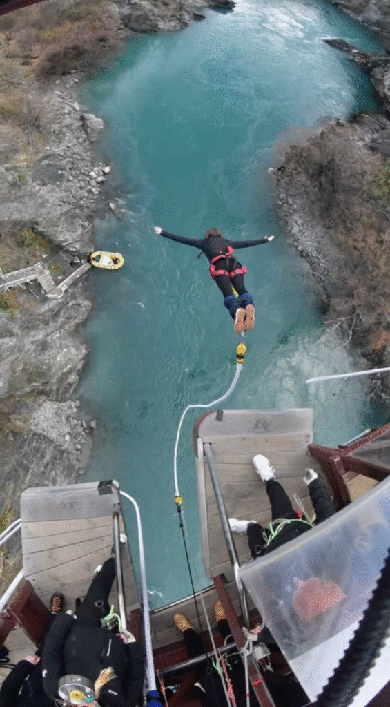 Untitled (800 x 1450 px)